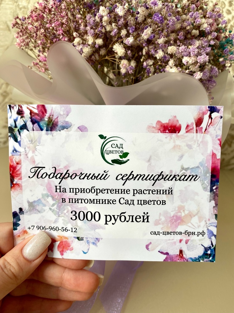 Подарочный сертификат на 3000 руб